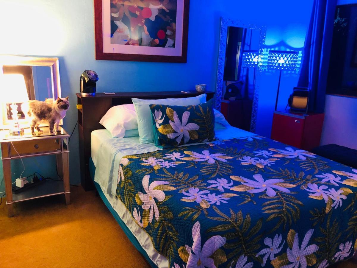 Kona Magic Honu Room كايلو كونا المظهر الخارجي الصورة